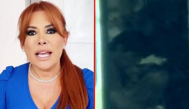 Solo una vez Magaly Medina decidió no sacar un ampay en tv peruana. Foto: composición LR