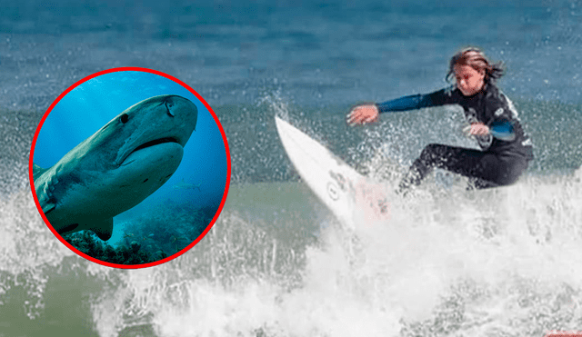 El hecho ocurrió en una playa de Australia. Foto: composición LR/Twitter de Daily Mail/EFE