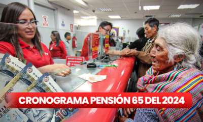 Pensión 65 es un programa social que brinda un subsidio económico a las personas adultas mayores de 65 años en situación de pobreza y extrema pobreza. Foto: composición de Jazmin Ceras/LR/Andina