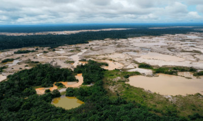 Deforestación en la selva peruana - La República