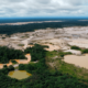 Deforestación en la selva peruana - La República