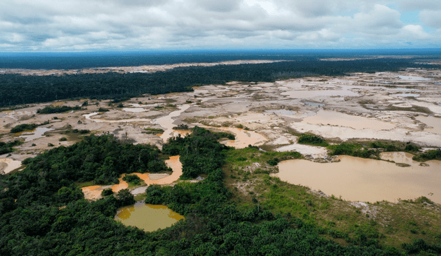 Deforestación en la selva peruana - La República