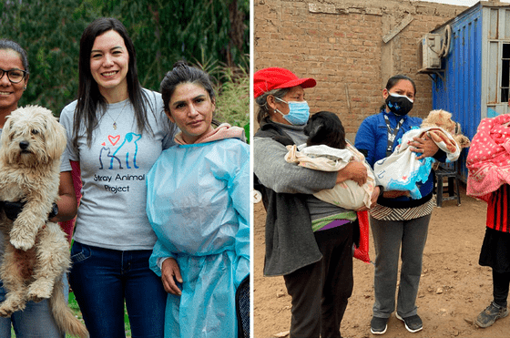 La ONG Patitas con Calle también se llama Stray Animal Project y fue fundada en 2020. Foto: composición LR/Instagram/Patitasconcalle.pe