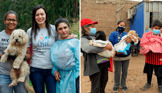 La ONG Patitas con Calle también se llama Stray Animal Project y fue fundada en 2020. Foto: composición LR/Instagram/Patitasconcalle.pe