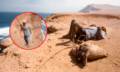 Uno de los trabajos más peligrosos del mundo es realizado por un hombre de 66 años. Foto: composición LR/captura de Youtube/imineo Documentaires