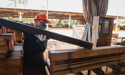 Encuesta de expectativas empresariales del BCRP. Más de 50 puntos es terreno positivo, menos que eso, terreno pesimista. Foto: Sunafil