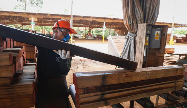 Encuesta de expectativas empresariales del BCRP. Más de 50 puntos es terreno positivo, menos que eso, terreno pesimista. Foto: Sunafil