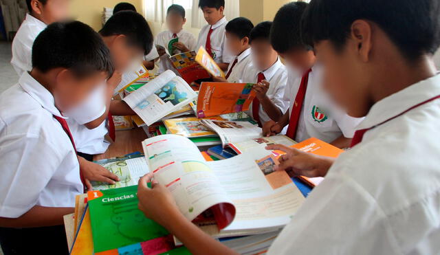 Jáuregui señala que el lenguaje inclusivo habría tenido un impacto negativo en la educación del país. Foto: Andina