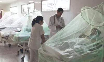 Impacto. Los casos de personas con dengue siguen en aumento debido a la presencia de zancudos portadores del mal. Foto: difusión