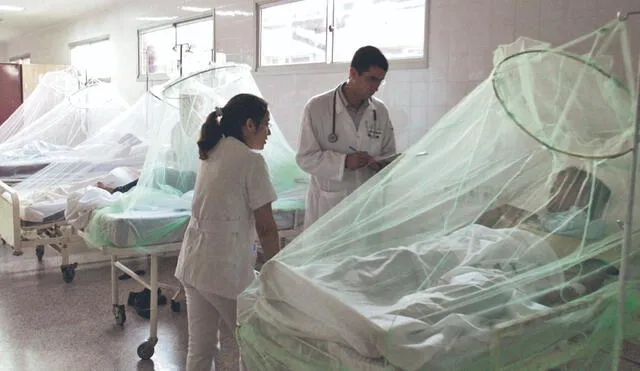 Impacto. Los casos de personas con dengue siguen en aumento debido a la presencia de zancudos portadores del mal. Foto: difusión