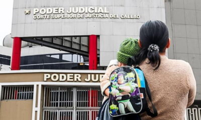 Poder Judicial anuncia que podrá retener dinero de las AFP de aquellos padres que cuenten con deuda alimentaria. Foto:  LR/El Peruano