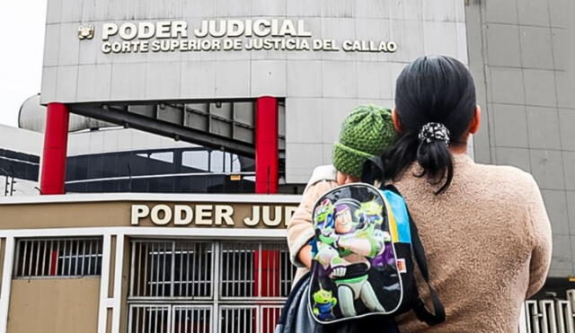 Poder Judicial anuncia que podrá retener dinero de las AFP de aquellos padres que cuenten con deuda alimentaria. Foto:  LR/El Peruano