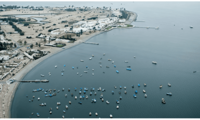 Desde hace dos décadas están vigentes las normas de protección de la Reserva Nacional de Paracas. SNP quiere tumbarlas. Foto: difusión