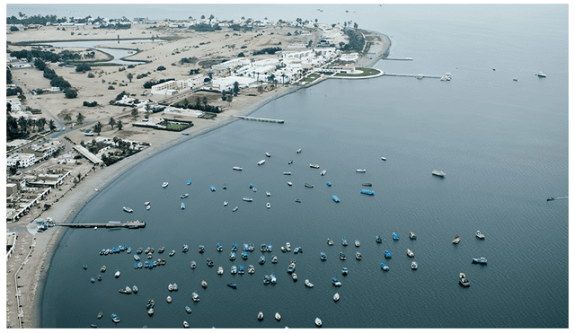 Desde hace dos décadas están vigentes las normas de protección de la Reserva Nacional de Paracas. SNP quiere tumbarlas. Foto: difusión