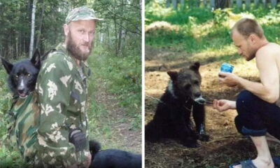 Sergey Grigoriyev creyó que podía domesticar a un oso pardo, animal conocido por ser uno de los depredadores más salvajes.  Foto: composición LR/The Sun