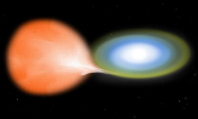 Ilustración de una nova (en blanco) causada por una explosión termonuclear en la superficie de una estrella enana blanca. Foto: NASA/CXC/M.Weiss